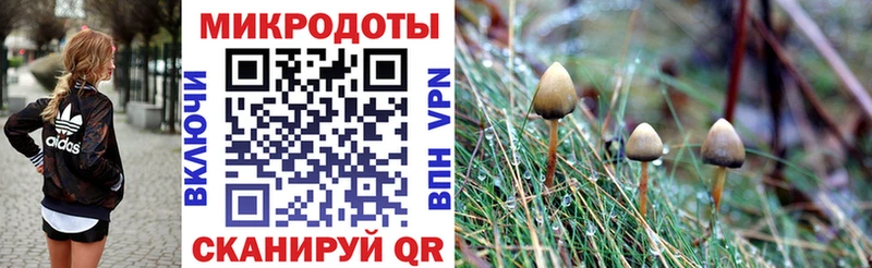 Псилоцибиновые грибы Magic Shrooms  Купить где  Лянтор 
